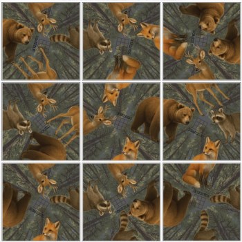 Squzzle: Wildlife