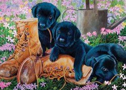 Black Lab Puppies 35 Piece Tray Puzzle