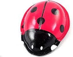 Click-Clack Ladybug
