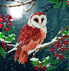 Crystal Art Card Kit Barn Owl