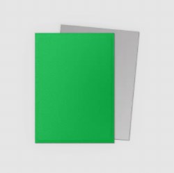 Dragon Shield: 100 Matte Dual Apple Green & Silver