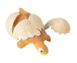 Hatch-N-Grow Turtle