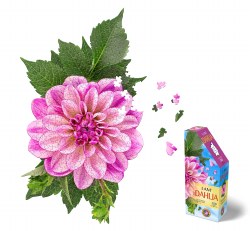 I am Dahlia - 350 piece puzzle
