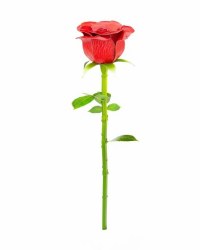 Metal Earth Red Rose
