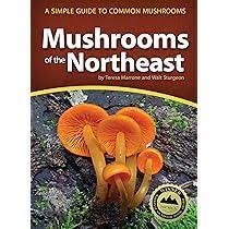 Mushrooms of Northeast Field Guide
