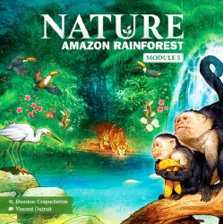 Nature Amazon Rainforest