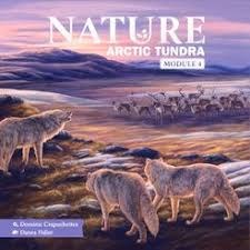 Nature Arctic Tundra Module 4