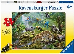 Rainforest Animals 60pc