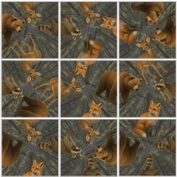 Squzzle: Wildlife