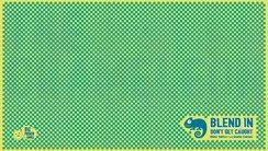 The Chameleon