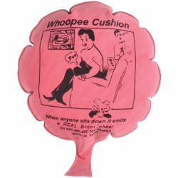 Whoopee Cushion by Kid Fun