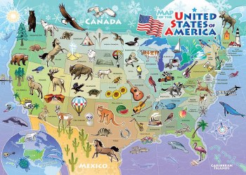 USA Map 35 Piece Tray Puzzle