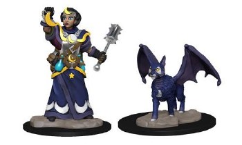 Wardlings: Girl Cleric and Winged Cat