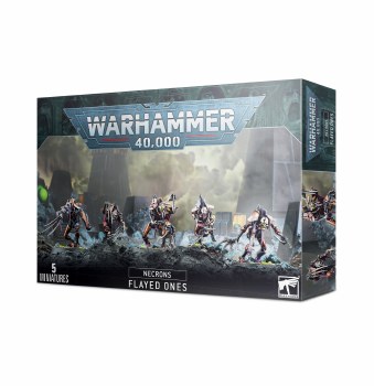 Warhammer 40,000: Necron Flayed Ones