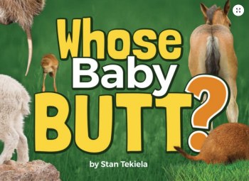 Whose Baby Butt?