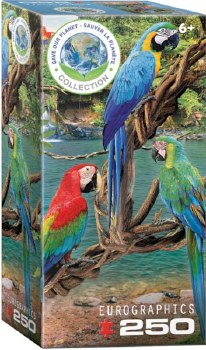 Macaws 250pc Puzzle