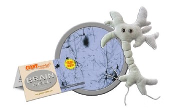 Brain Cell Plush