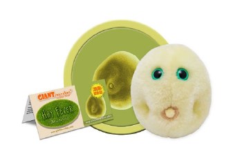 Hay Fever Plush