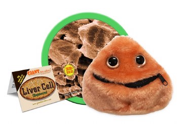 Liver Disease [Cirrhosis] Plush