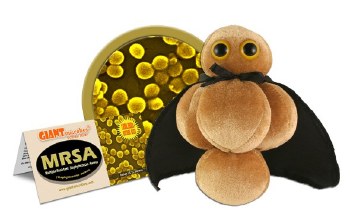 MRSA Plush