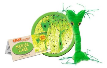 Nerve Cell  Plush