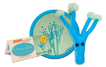 Penicillin Plush