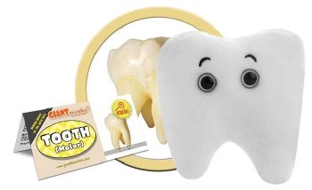 Tooth - Molar Plush