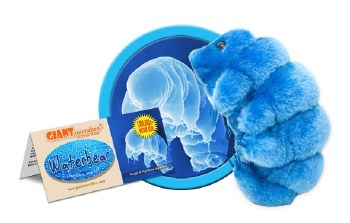 Waterbear Plush