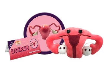 Uterus Plush