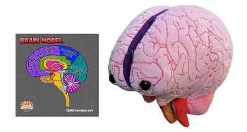 Brain Model Plush