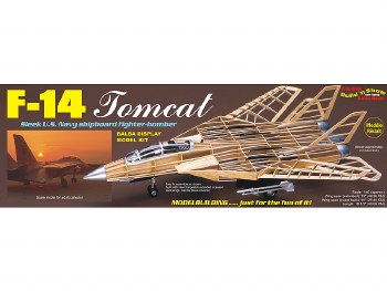 F14 Tomcat
