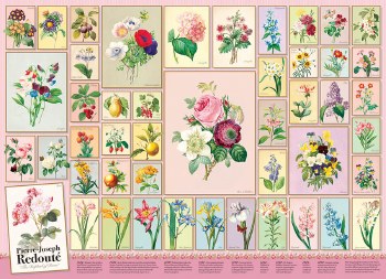 Redoute 1000pc Puzzle