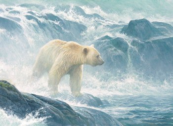 Salmon Watch - Spirit Bear 500pc Puzzle