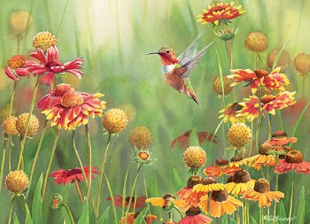 Rufous Hummingbird 500pc Puzzle