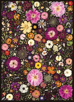 Flower Press: Little Hollow &amp; Red Daisy  500pc Puzzle