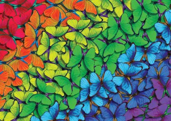 Rainbow Butterflies 1000pc Puzzle