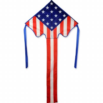 Lg Easy Flyer -Patriotic Stars