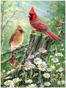 Golden Light - 500pc Puzzle