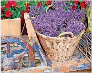 Basket of Lavendar 1000pc Puzzle