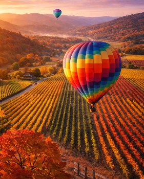 Vineyard Balloon 1000pc Puzzle