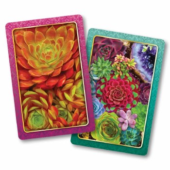 Cards: Succulents STD 2pk