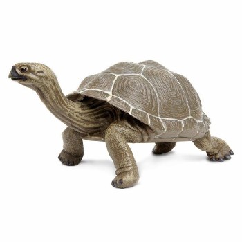 Tortoise Figure