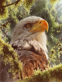 High and Mighty 1000pc Puzzle