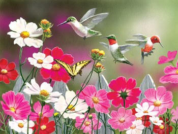 Cosmos and Hummingbirds 500pc Puzzle