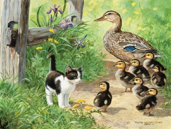 Duck Inspector 500pc Puzzle