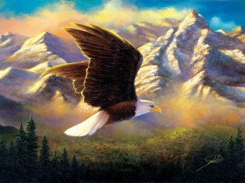 Flying High 1000pc Puzzle