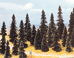 Pine Asst (100)