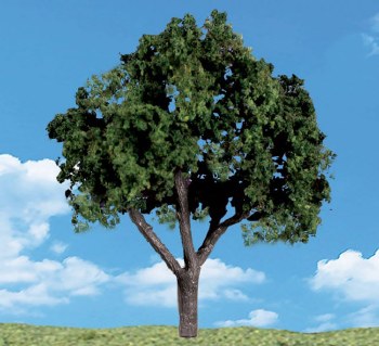 5 Cool Shade Trees 1 1/4 - 2&quot;