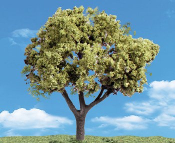 8 Early Light Trees 3/4 - 1 1/4"