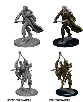 PF DC: Elf Fighter - Male